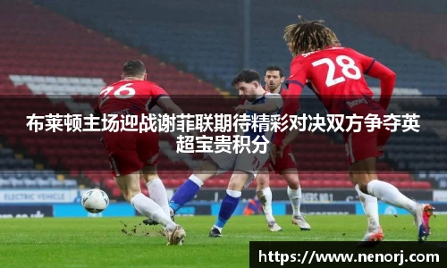 布莱顿主场迎战谢菲联期待精彩对决双方争夺英超宝贵积分